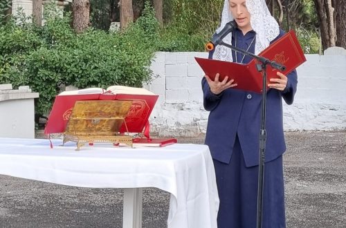 c6b31f95-ff2c-43a1-9121-f80547a5b7bc