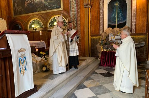 WhatsApp Image 2025-01-12 at 18.46.44