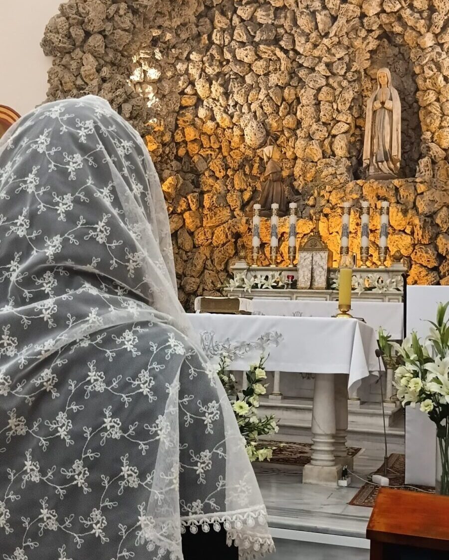 WhatsApp Image 2026-02-13 at 16.24.28